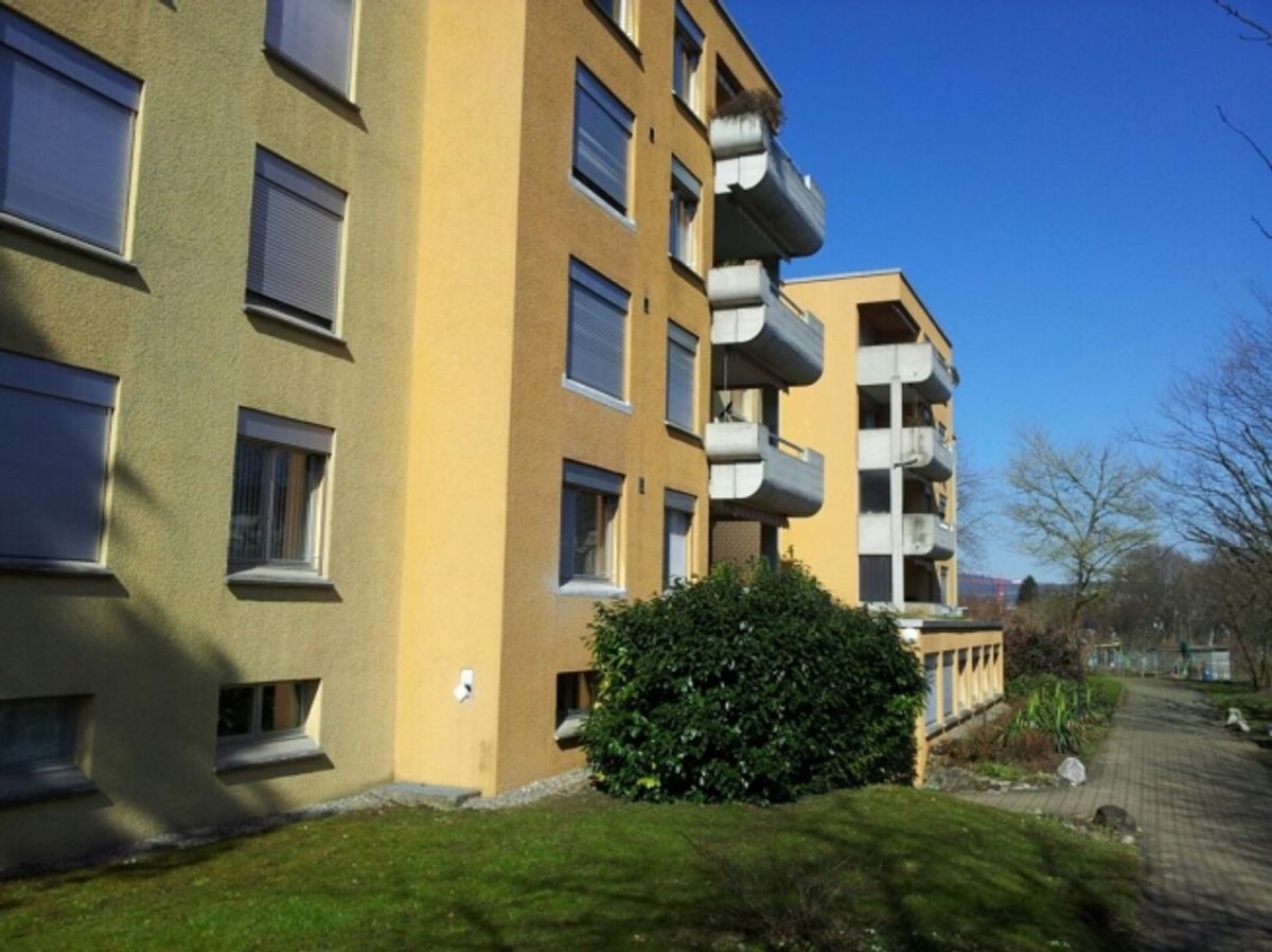 Frisch renovierte 4.5-Zimmer-Wohnung in Albisrieden - 7