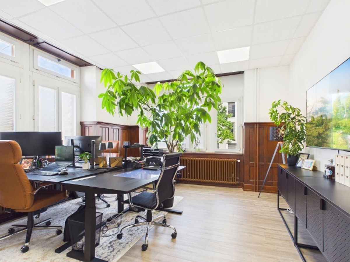 Repräsentative Bürofläche in Rheinfelden - 7