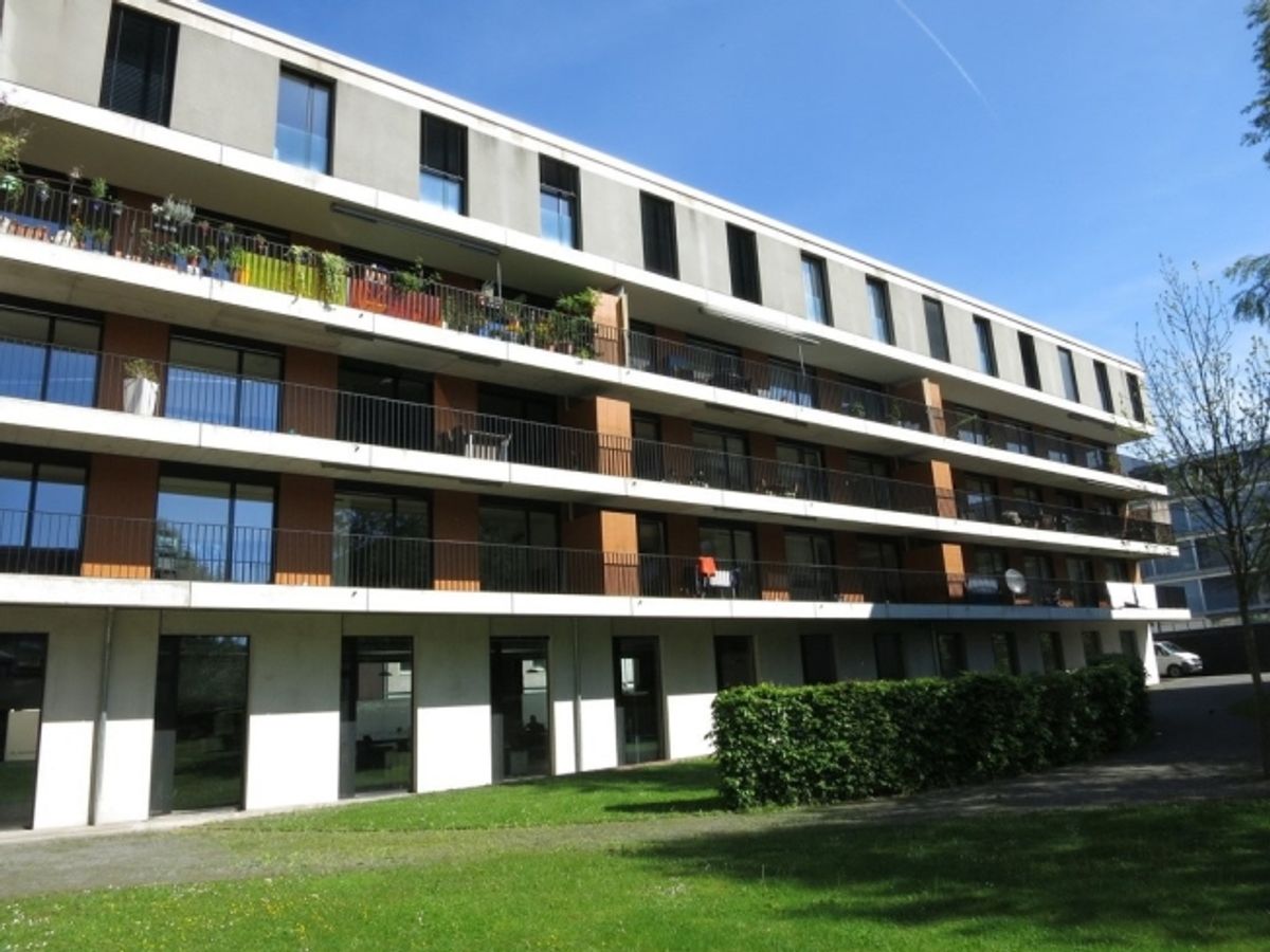 Ideal für Familien - 0