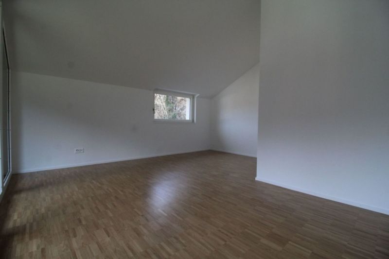 coole 2.5 Zimmer-Dachwohnung - 3