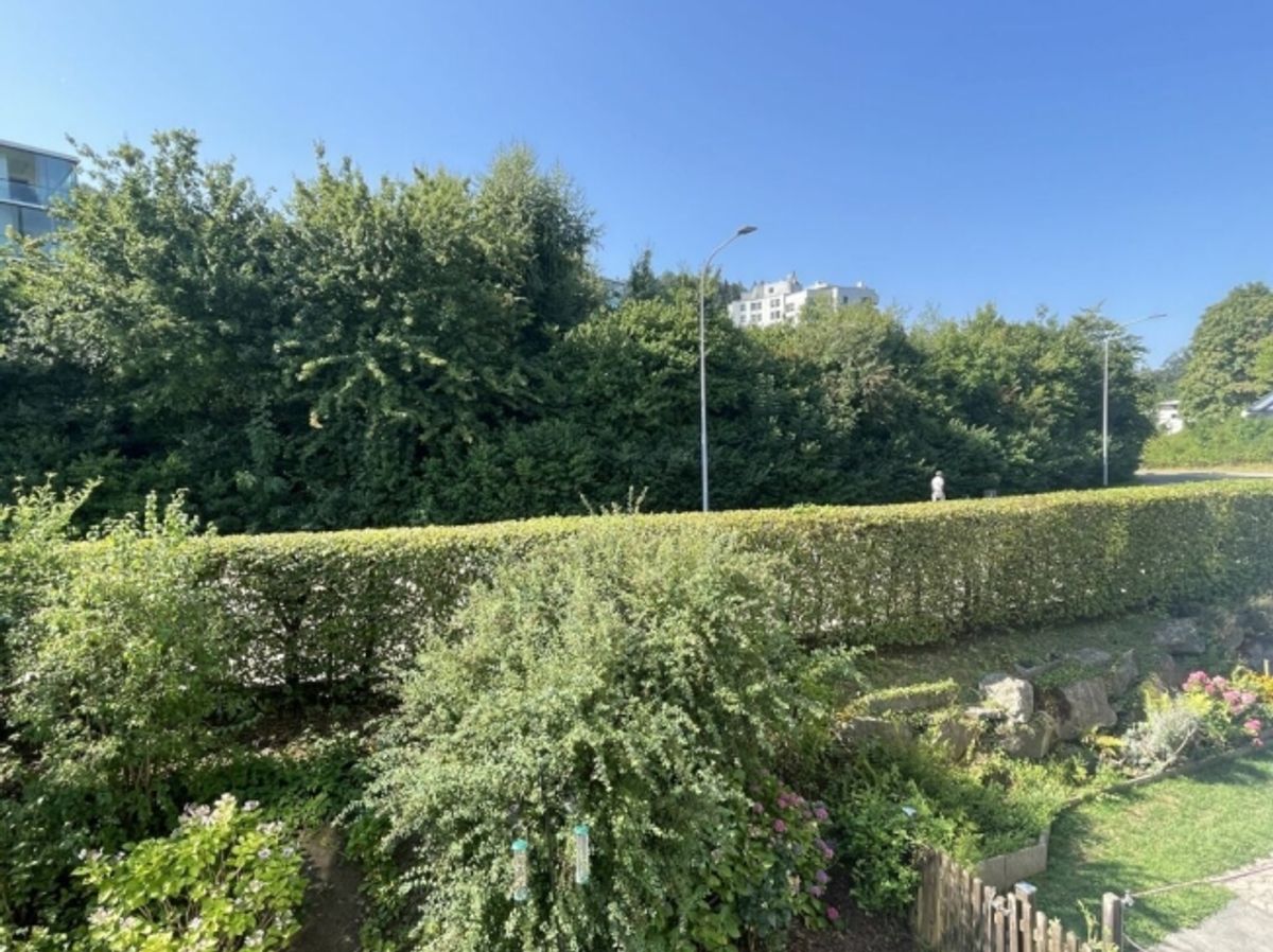 grosszügiges Wohnen an sonniger, ruhiger Lage - ideal für die Familie - 7