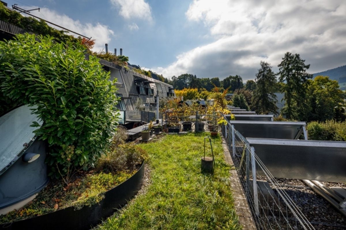 Grosse, moderne 6.5 Zimmer-Wohnung - 9