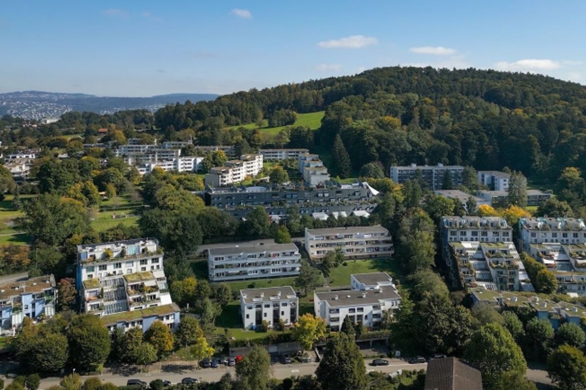Grosse, moderne 6.5 Zimmer-Wohnung - 11