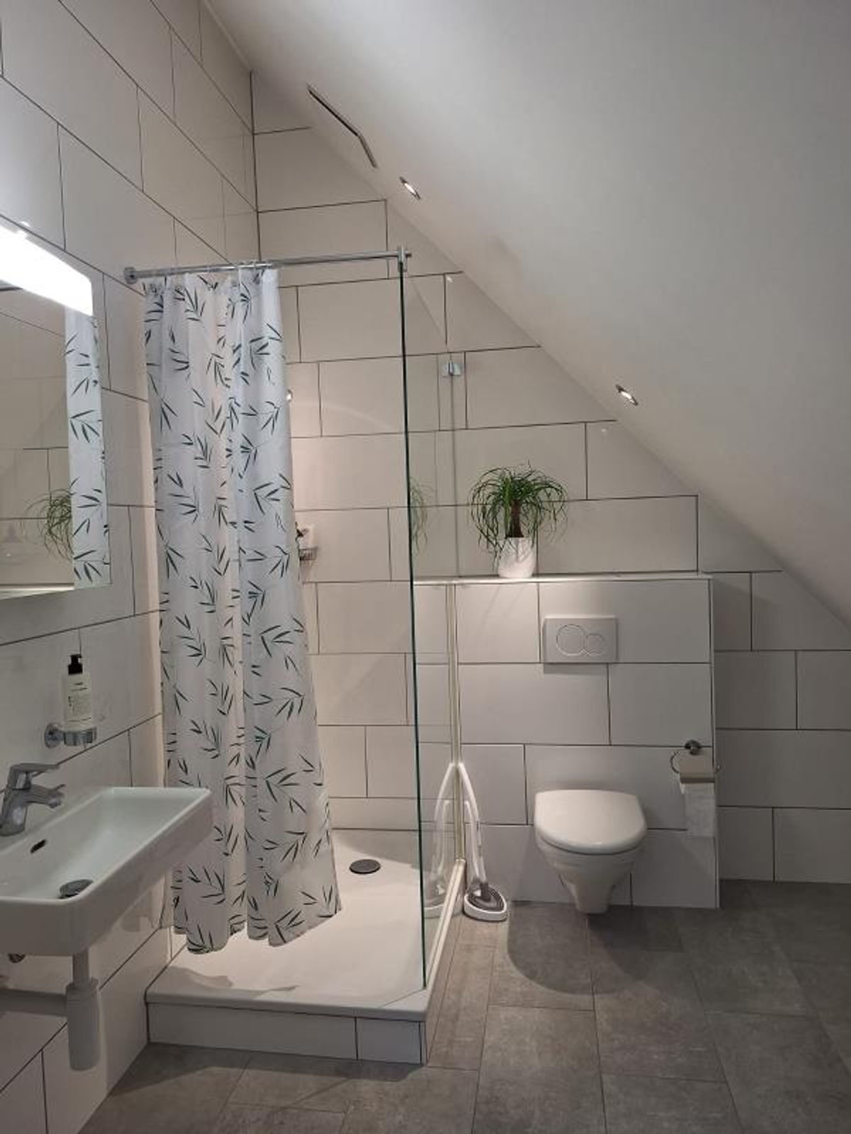 2.5 Zimmer Dachwohnung - 1