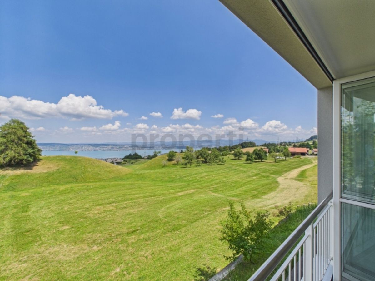 Hoch über dem Zürichsee mit unverbaubarem Seeblick - 8