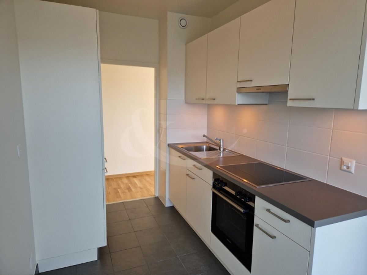 Rue Du Grand-Bureau 19, wunderschöne 5-Zimmer-Wohnung - 0