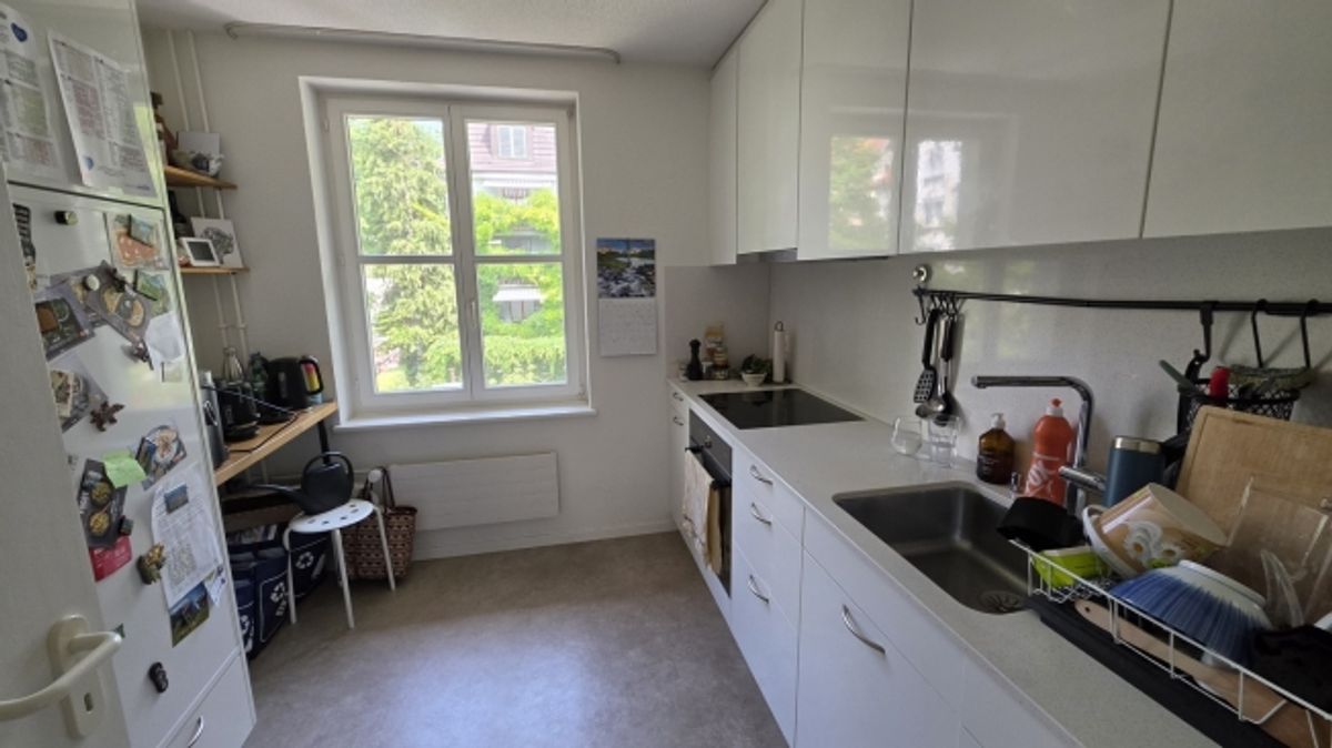 3 ZI-WOHNUNG IN ZÜRICH - KREIS 10 WIPKINGEN, MÖBLIERT, TEMPORÄR - 1