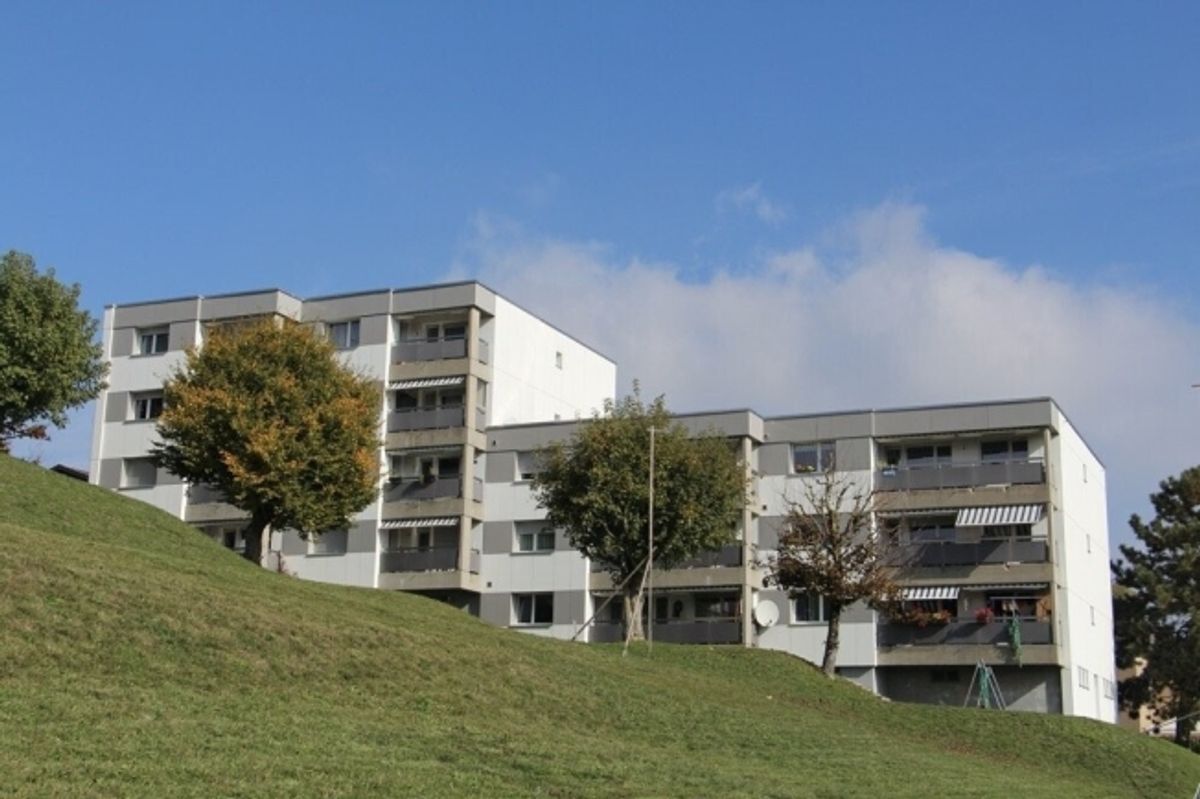 Geräumige 3.5-Zimmer-Wohnung, komplett renoviert - 0