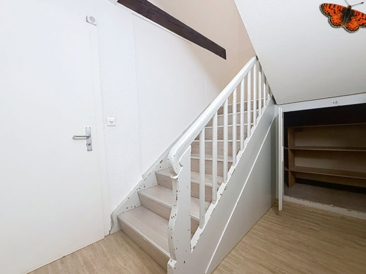 4 ½ ZIMMER-DUPLEX – Ideal für WG! - 9
