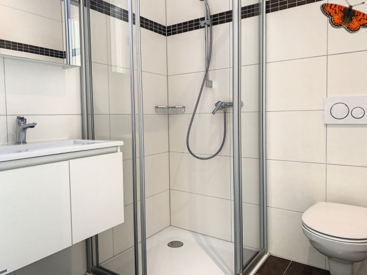3½-ZIMMER-WOHNUNG – Mit Terrasse! - 5