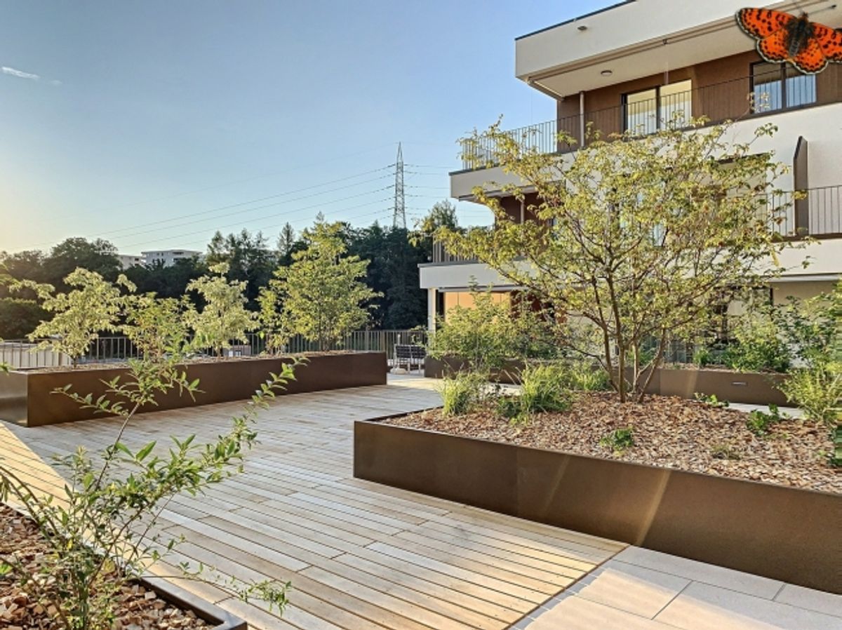 3½-ZIMMER-WOHNUNG – Mit Terrasse! - 8