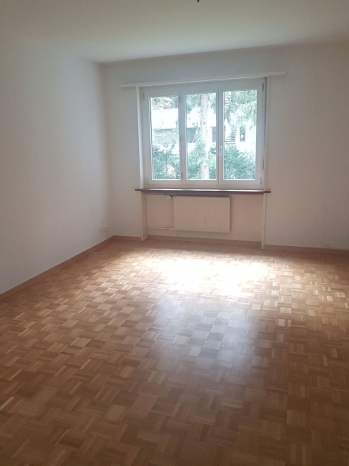 Zentral und doch im Grünen - in Bern - Ihr neues Zuhause! - 4