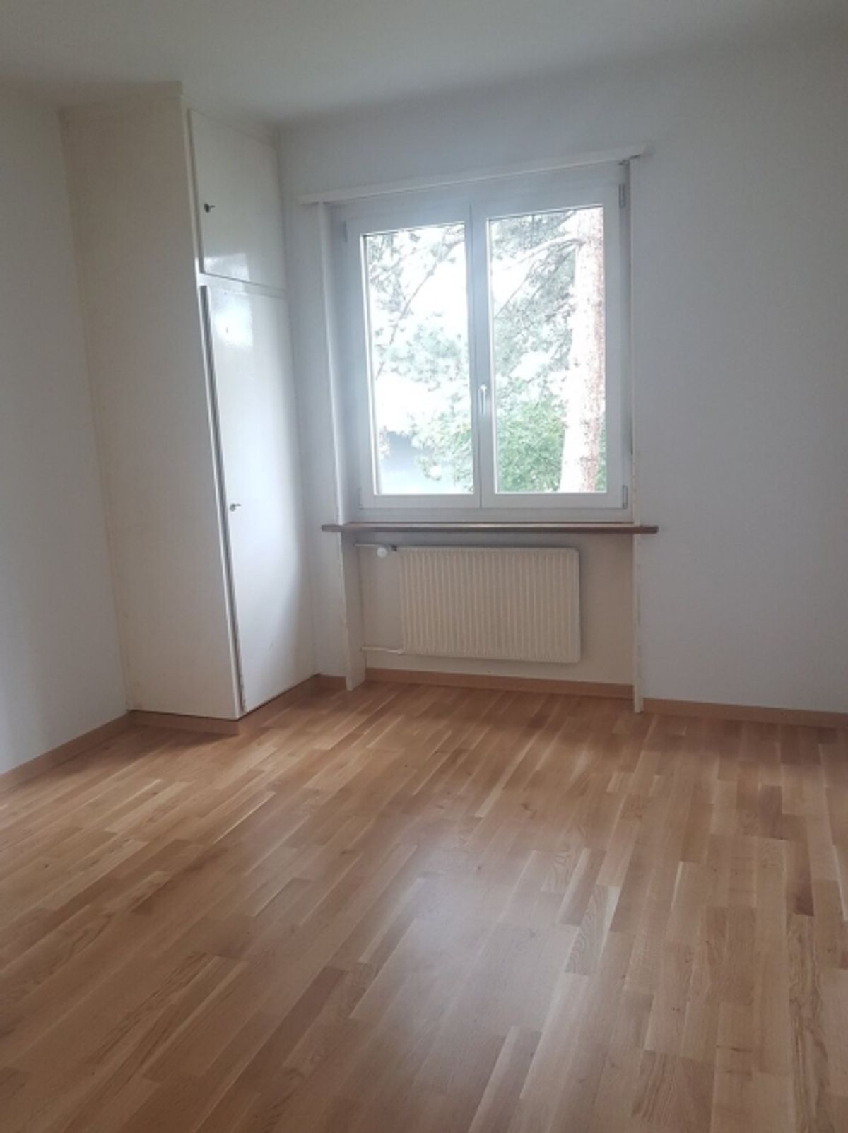 Zentral und doch im Grünen - in Bern - Ihr neues Zuhause! - 5