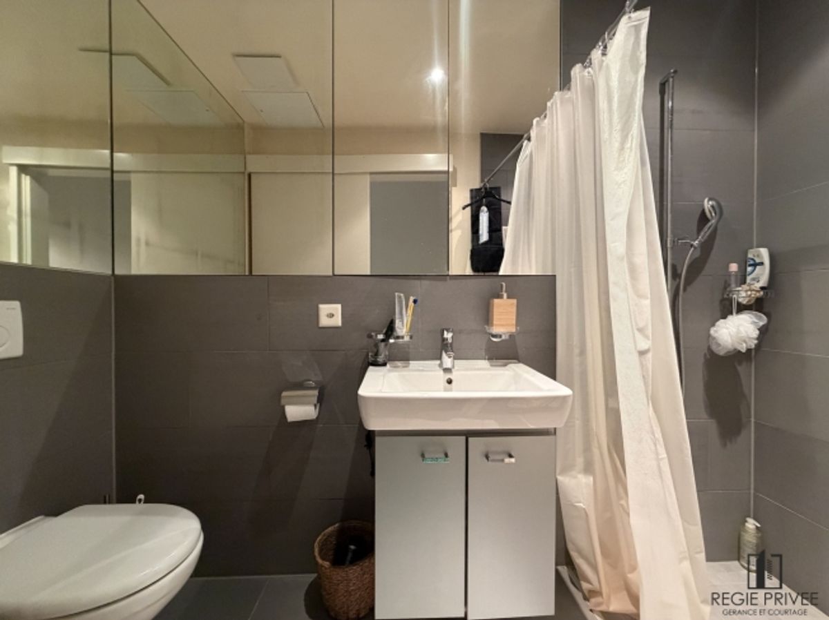 Wunderschönes Loft in der Innenstadt von Lausanne - 7