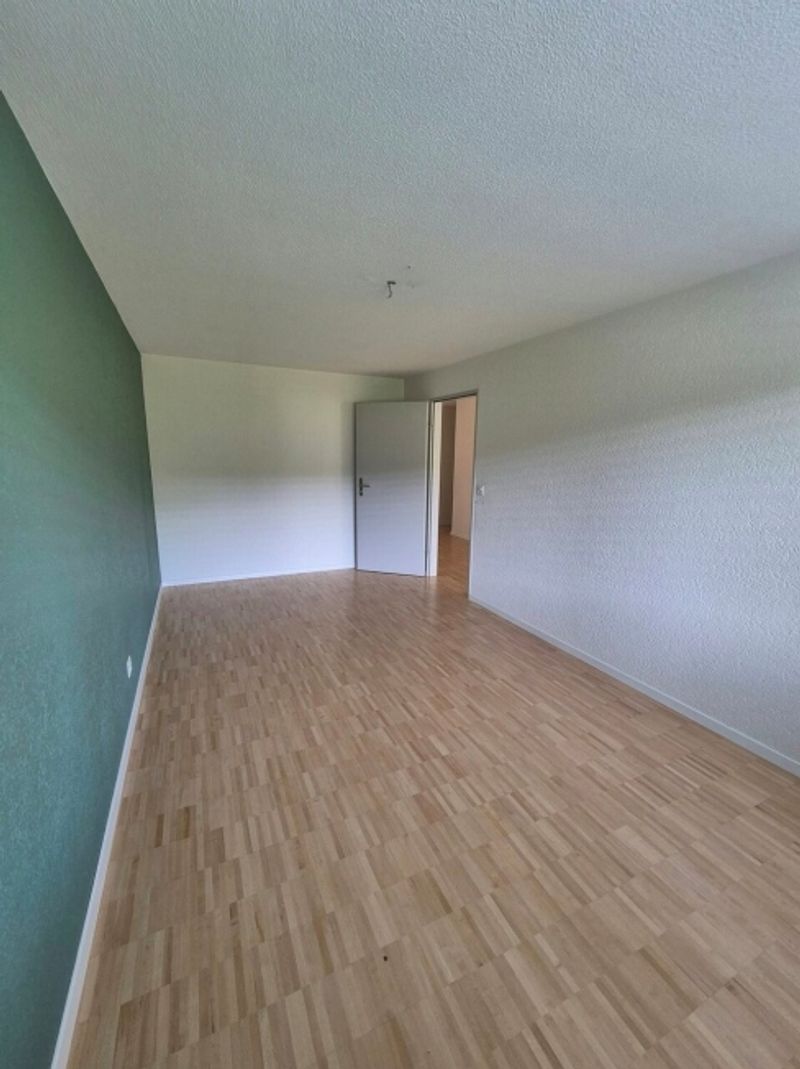 Moderne 4.5 Zimmerwohnung mit grosszügiger Terrasse - 12