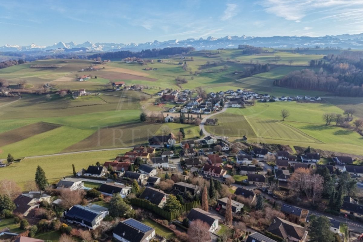 Ruhig gelegenes und helles 6-Zimmer-Einfamilienhaus in Ueberstorf - 1