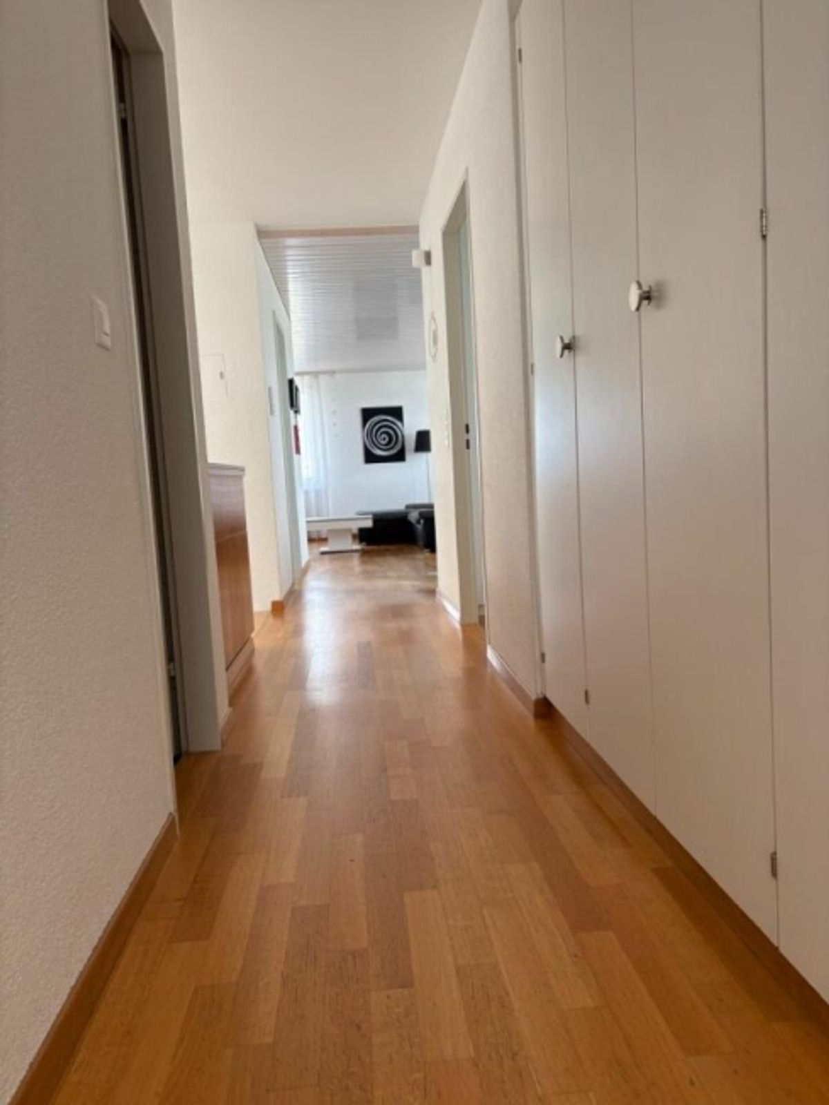 4.5 Zimmer Attikawohnung mit grosser Terrasse - 5