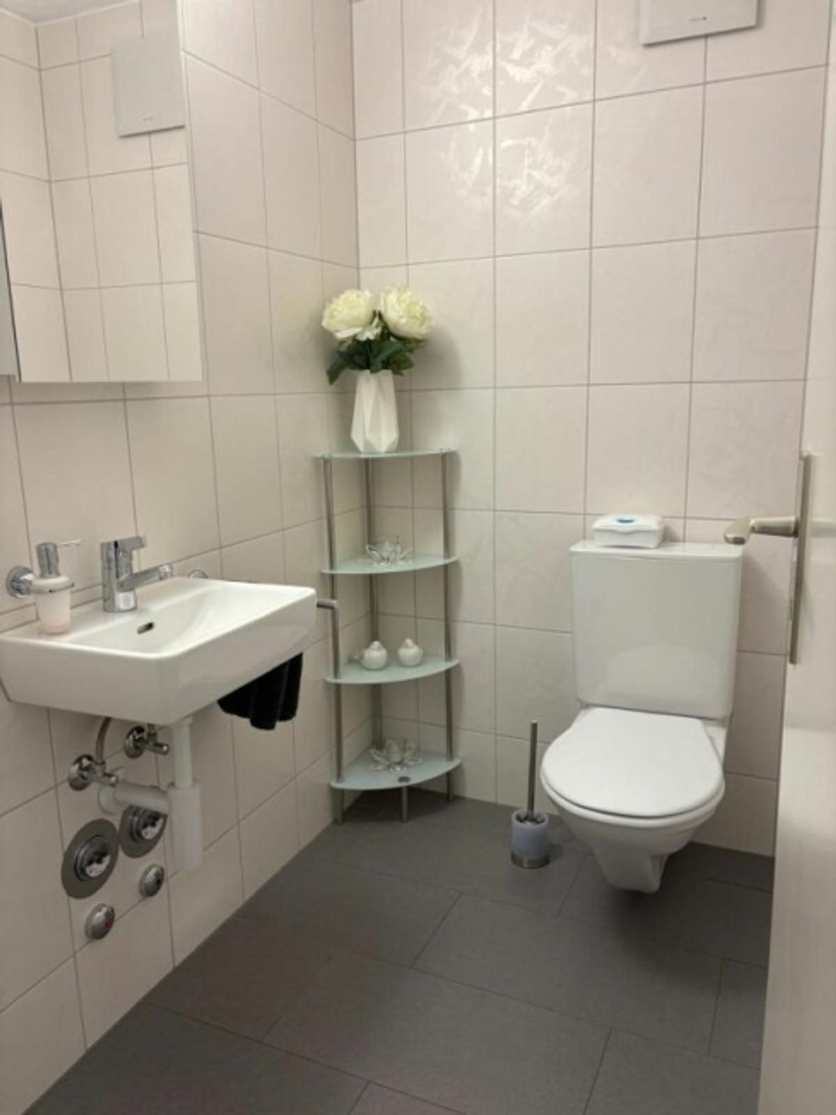 4.5 Zimmer Attikawohnung mit grosser Terrasse - 10