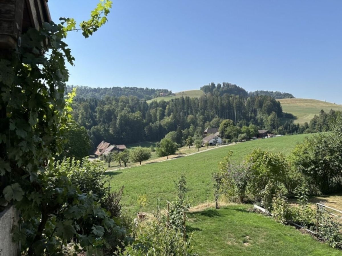 Hübsches Reihenmittelhaus mit einmaliger Aussicht - 8