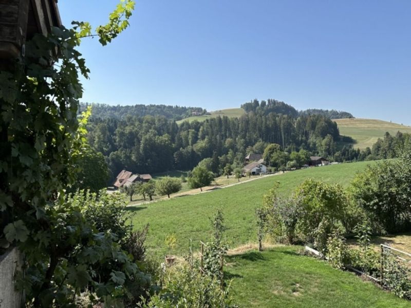 Hübsches Reihenmittelhaus mit einmaliger Aussicht - 9