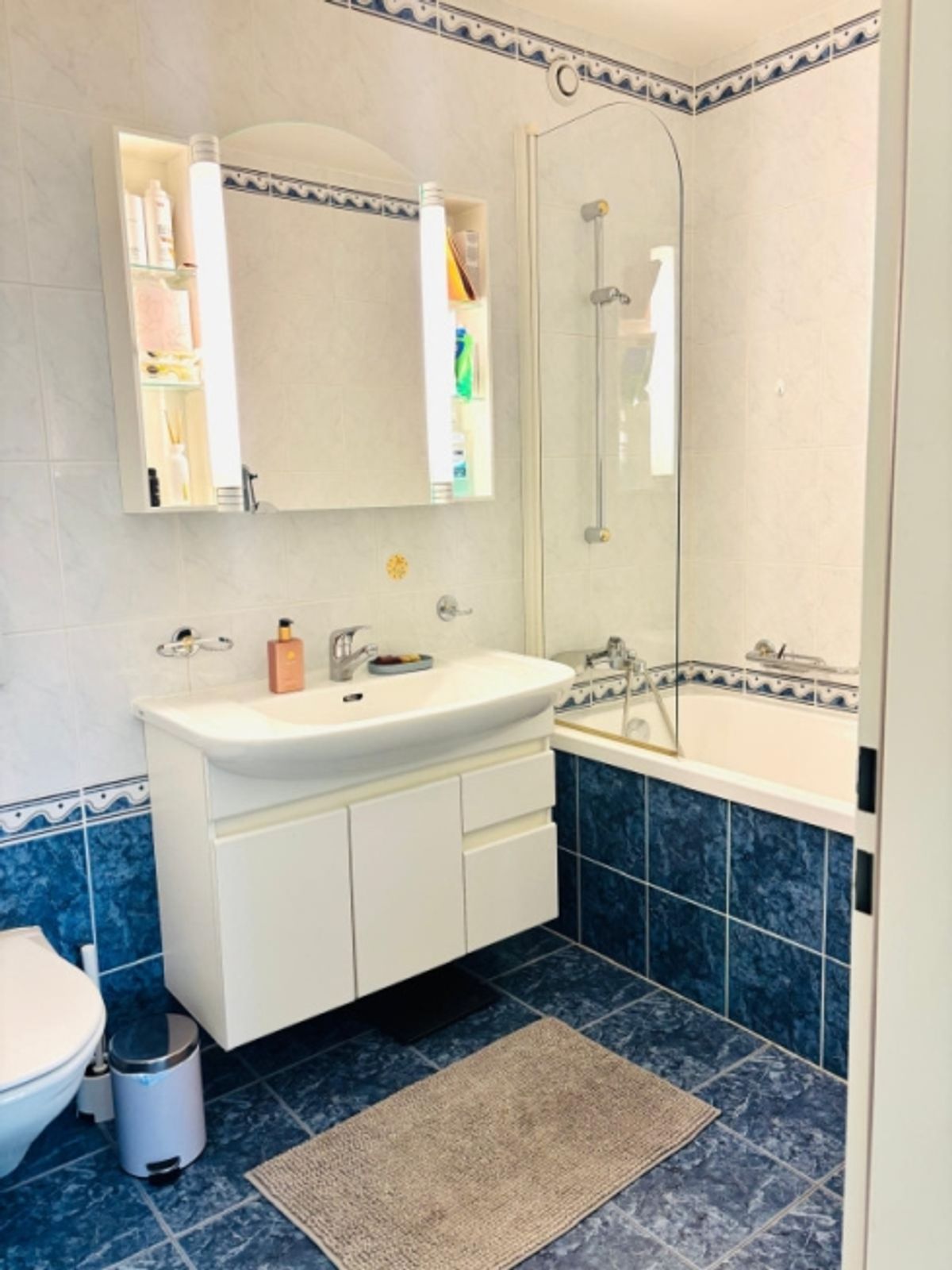 Sehr schöne 5,5-Zimmer-Wohnung, komplett möbliert mit Balkon in Petit-Saconnex/Geneva - 9