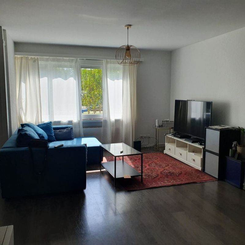 FÜR KATZENLIEBHABER IN WETZIKON (ZH), MÖBLIERT, TEMPORÄR - 1