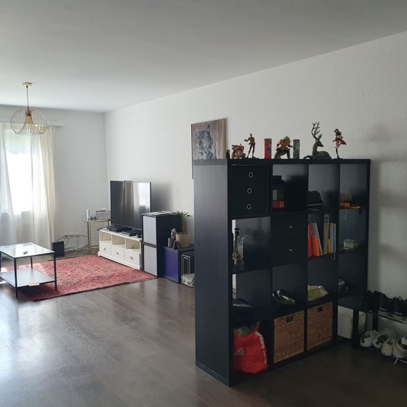 FÜR KATZENLIEBHABER IN WETZIKON (ZH), MÖBLIERT, TEMPORÄR - 2