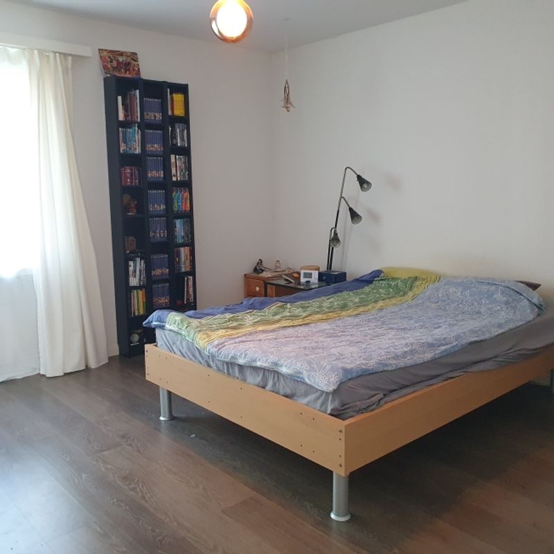 FÜR KATZENLIEBHABER IN WETZIKON (ZH), MÖBLIERT, TEMPORÄR - 5