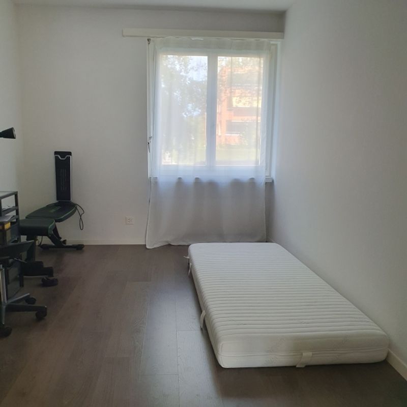 FÜR KATZENLIEBHABER IN WETZIKON (ZH), MÖBLIERT, TEMPORÄR - 7