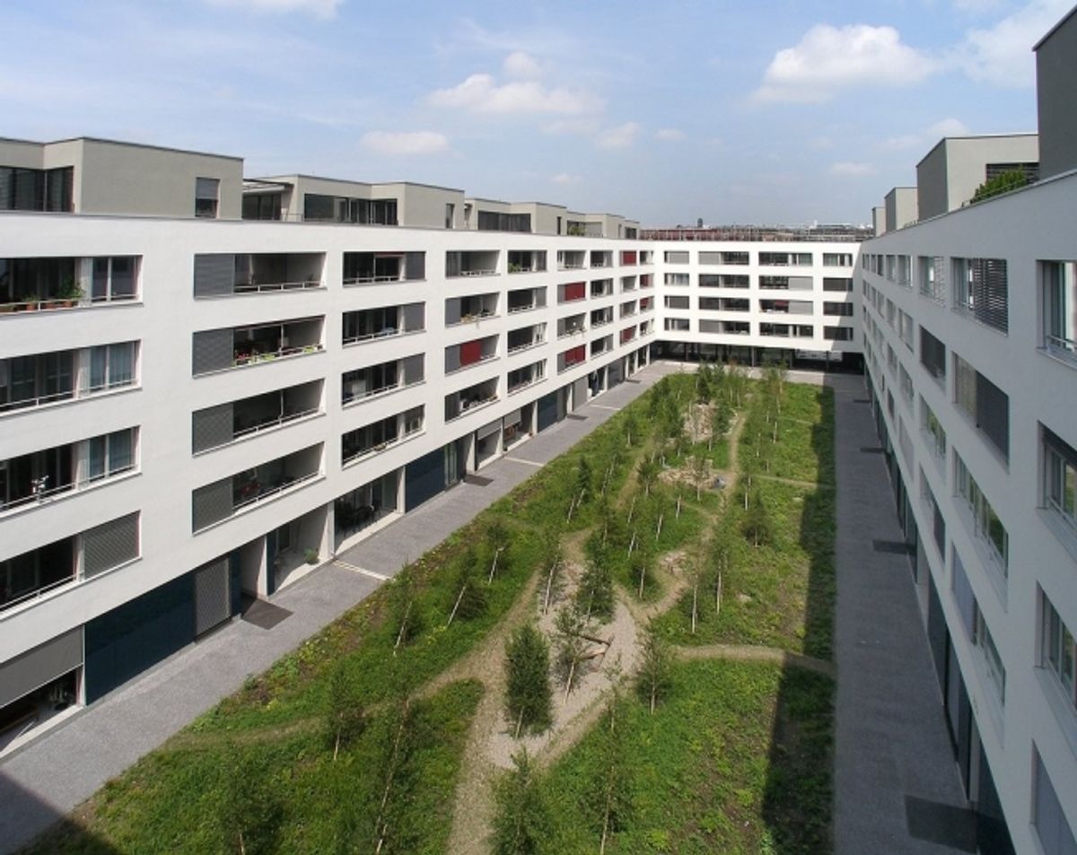 Moderne 3.5 Zimmer-Wohnung - 0