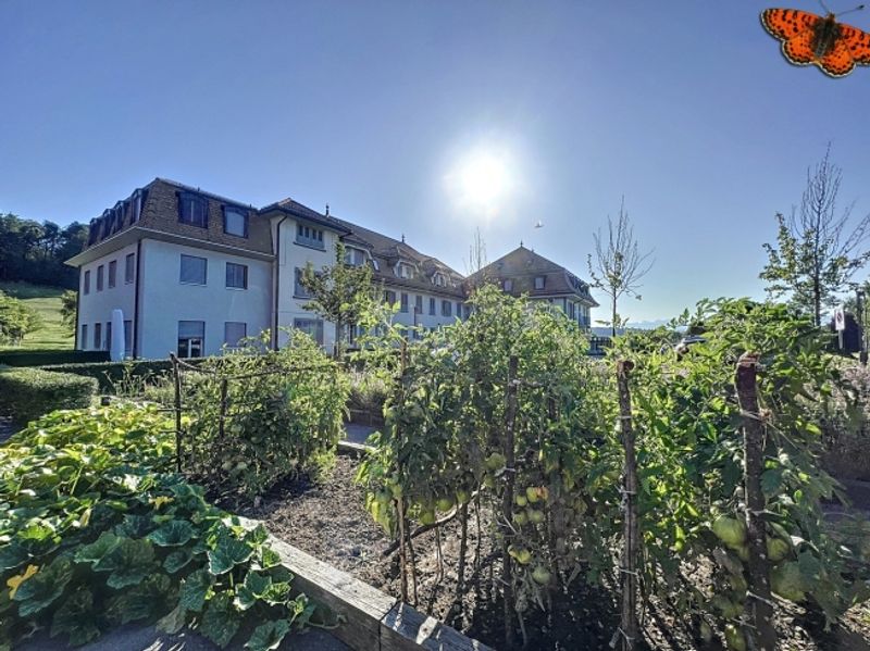 2 ZIMMER – Ruhe! - 10