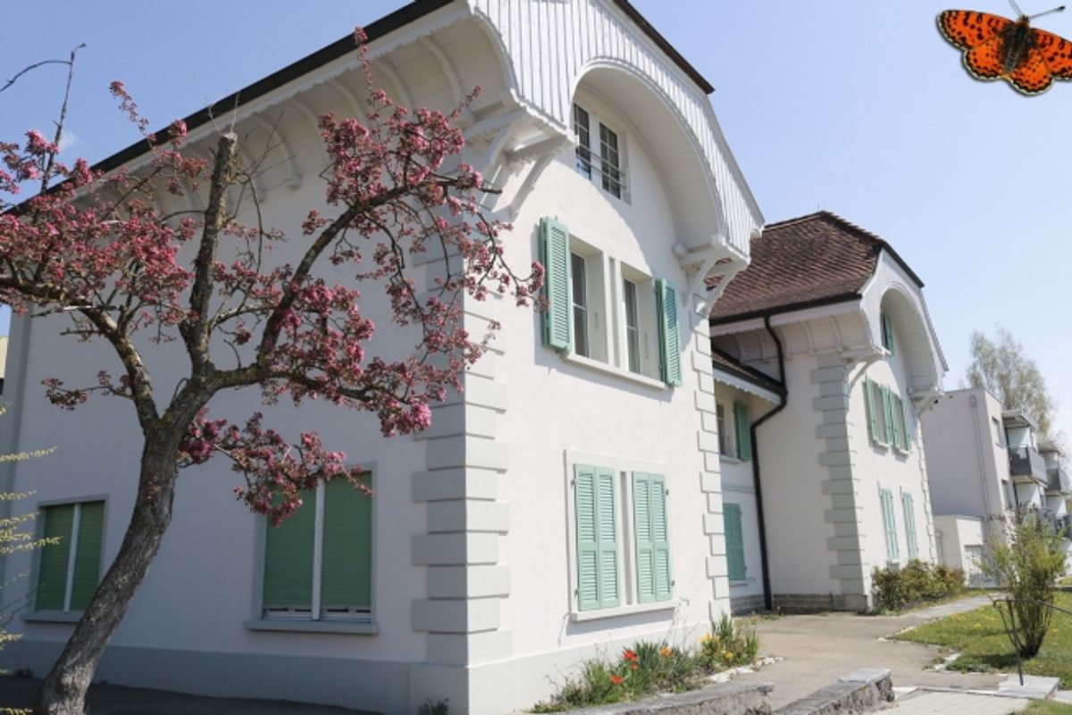 Möblierte Wohnung - 0