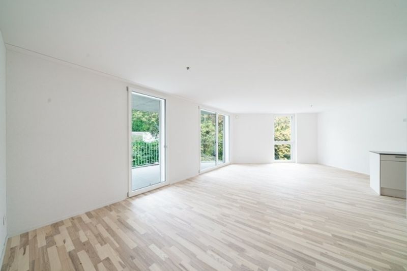 TRAUMHAFTE WOHNUNG IN GRENCHEN ZU VERMIETEN - 1
