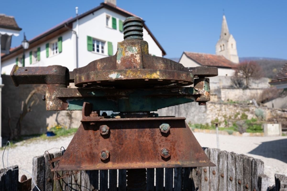 La Demeure au Marronnier – Ein einzigartiges Anwesen im Herzen des Waadtländer Weinbaugebiets - 1