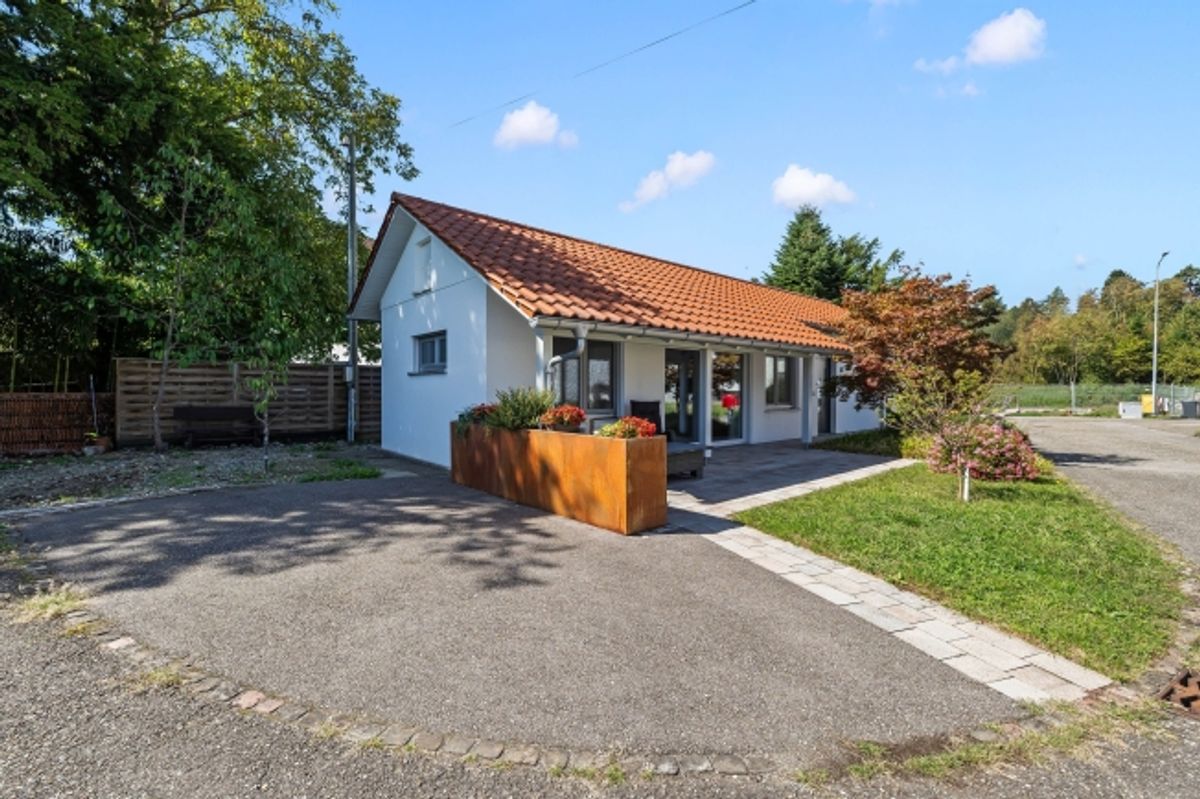 Charmantes 3-Zimmer-Kleinhaus mit Terrasse - 0