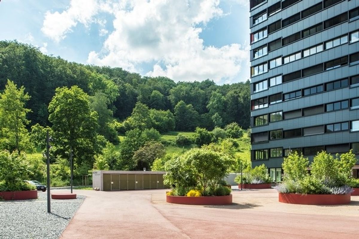Ihre Wohnung - Ihr Paradies - 0