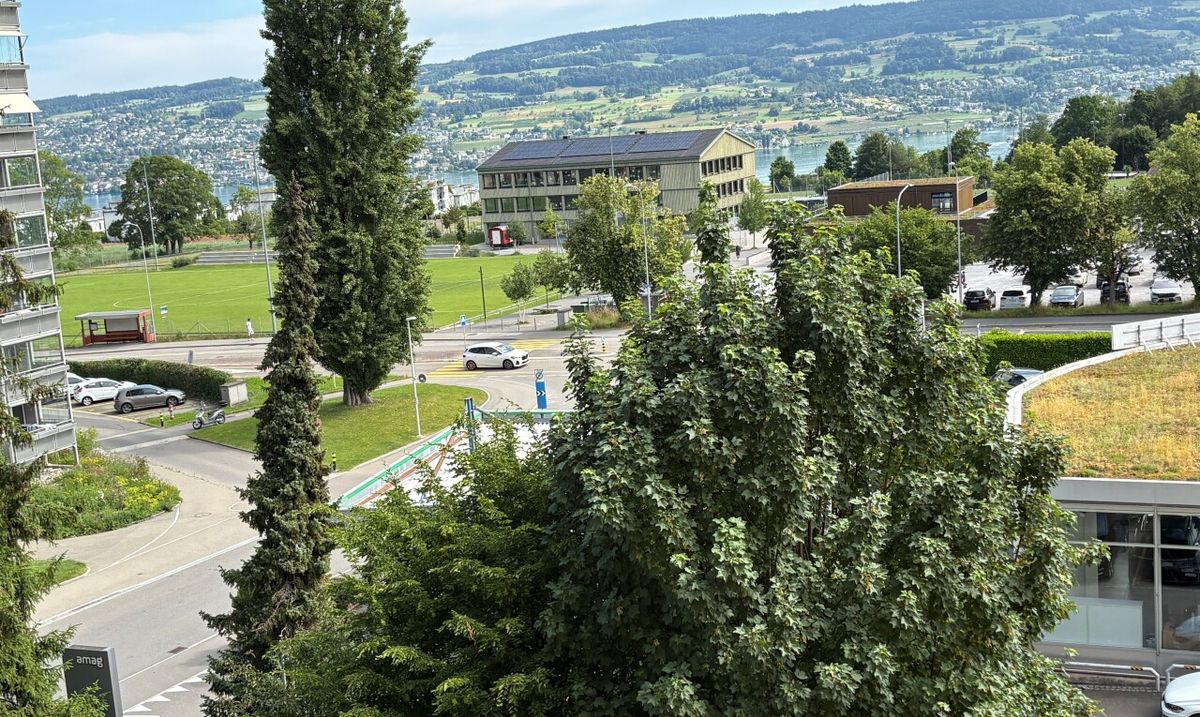 Attraktive 3.5-Zimmer-Wohnung mit teilweisem Seeblick in Horgen - 1