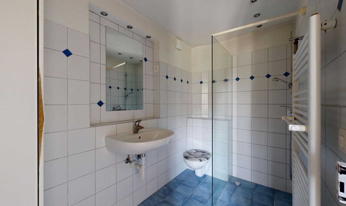 Freistehende Liegenschaft mit Platz für eigene Ideen - 6