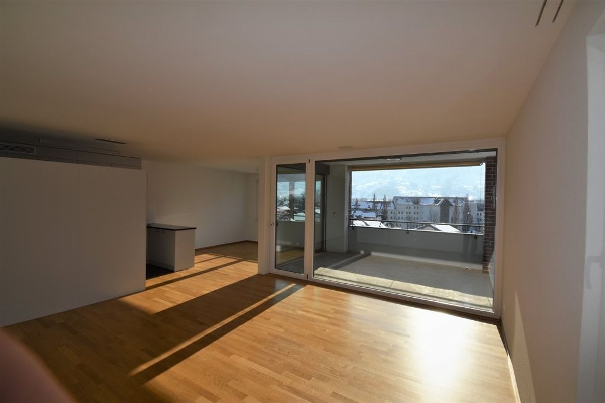Grosszügige und moderne 4.5 Zimmer-Wohnung - 1