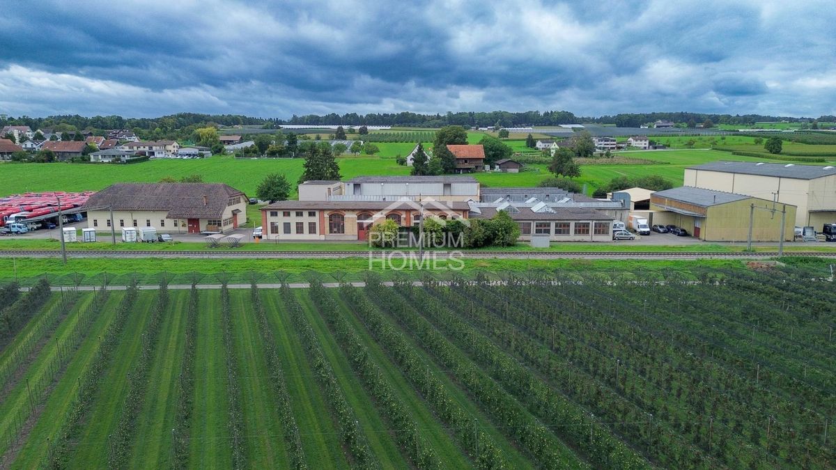 ERFOLG BEGINNT HIER - AM BODENSEE - 1