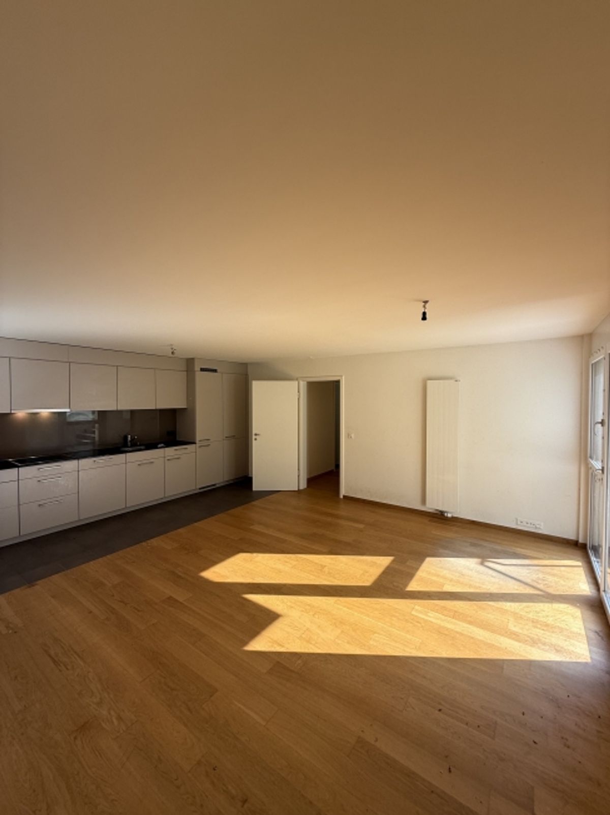 Urban Living trifft Naturidylle wohnen am Hönggerberg - 4