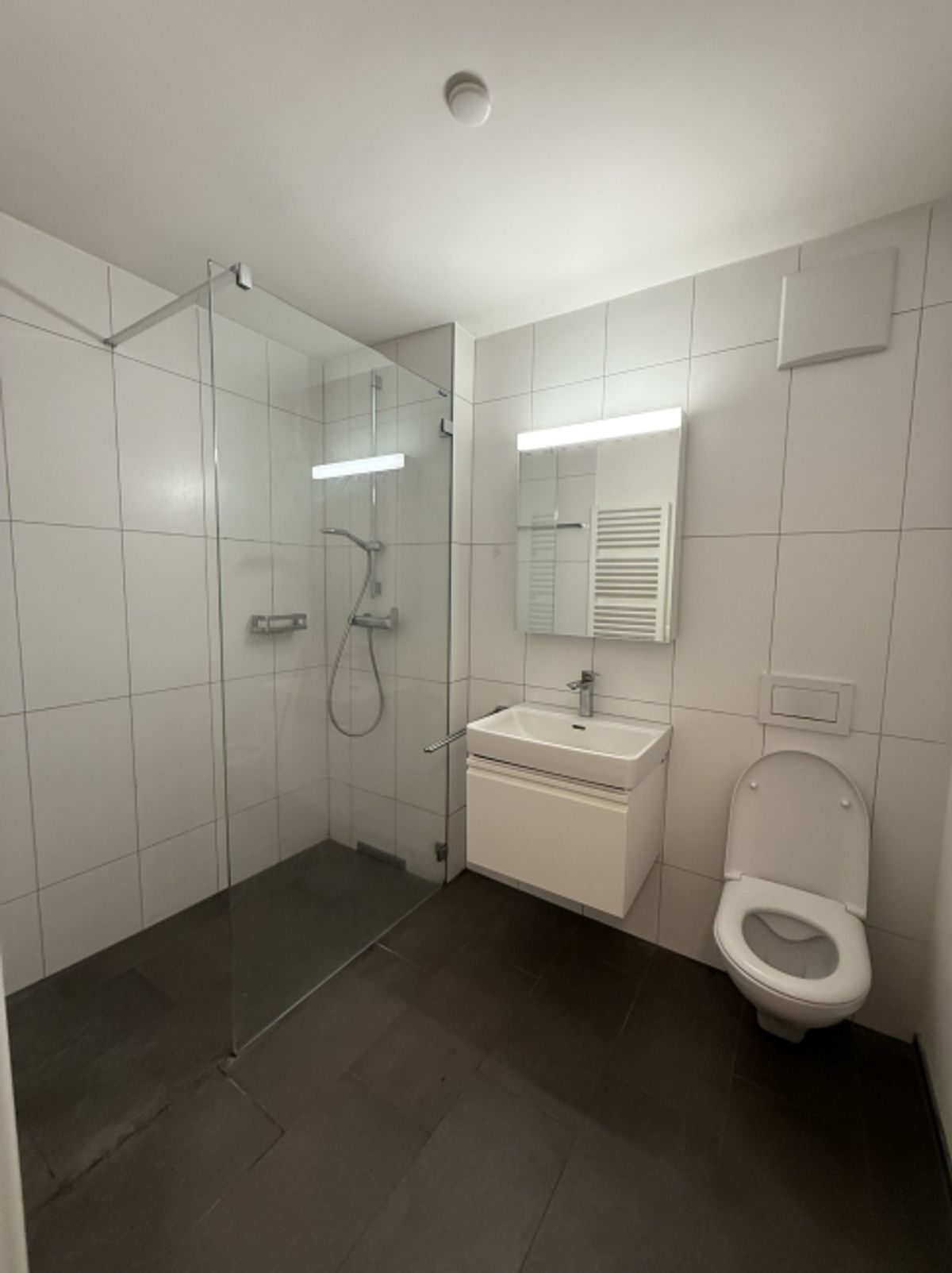 Urban Living trifft Naturidylle wohnen am Hönggerberg - 6