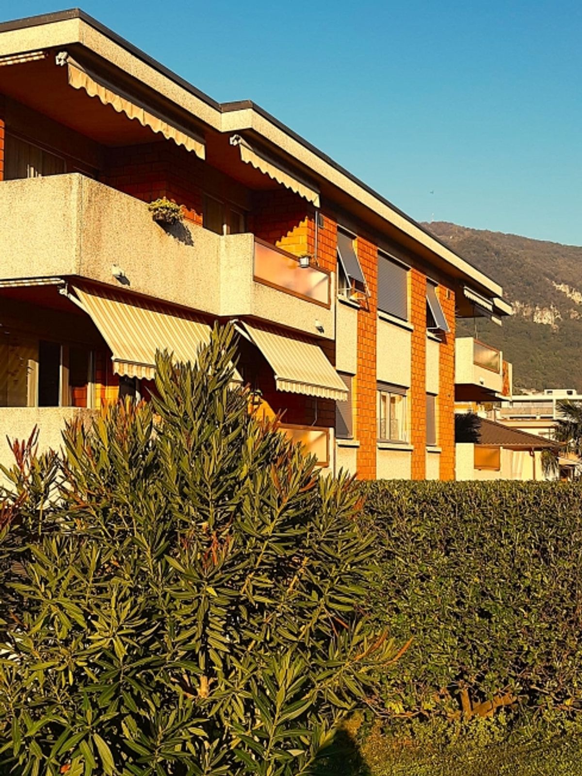 Luminoso appartamento 2,5 in posizione strategica a Mendrisio - 1