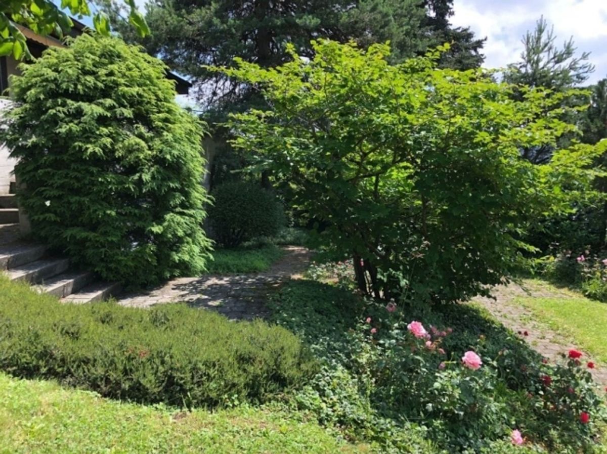 5.5-Zimmer-Villa mit Weitsicht bis in die Berner Alpen in Ersigen kaufen - 0
