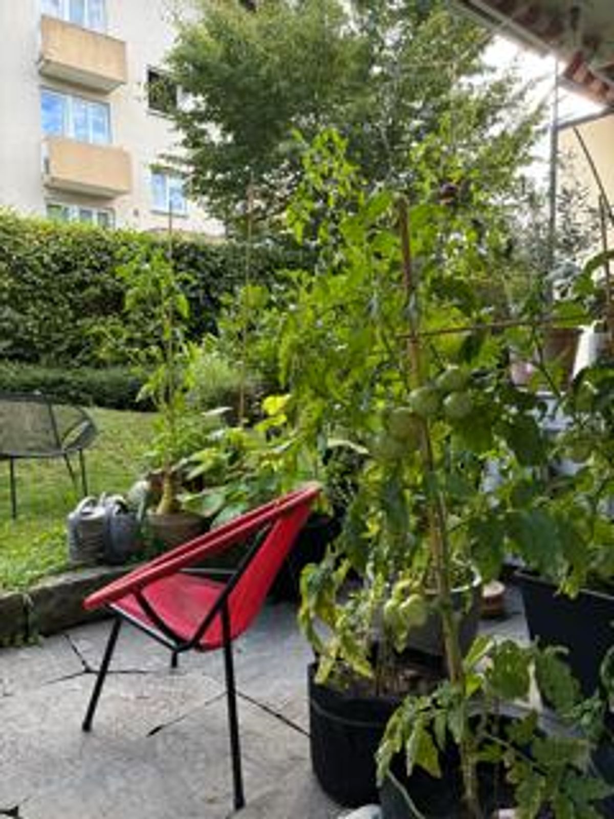 4 Zimmer Wohnung - 2