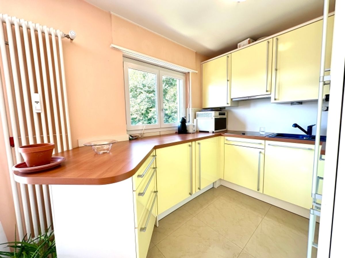Elegante Attico di 3,5 Locali con Vista sul Lago di Lugano - 5
