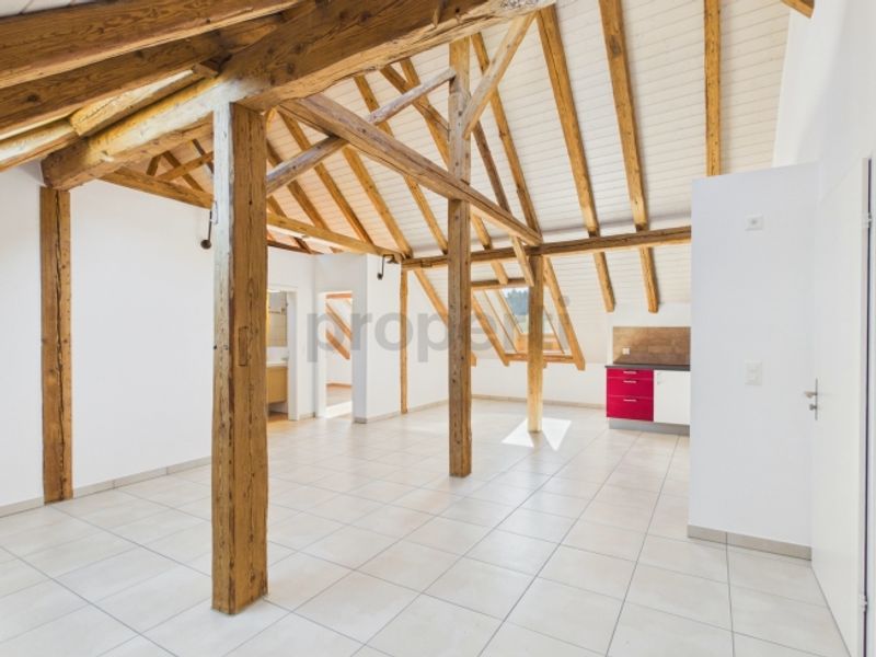 Appartement de 3,5 pièces a Champmartin - charme, cachet et tranquilité - 10
