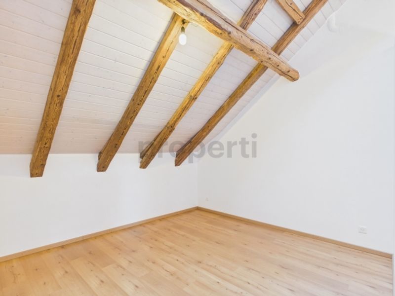 Appartement de 3,5 pièces a Champmartin - charme, cachet et tranquilité - 11