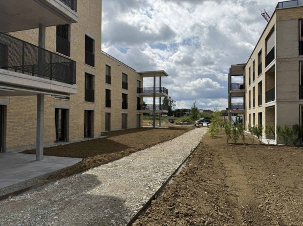 Gehoben Wohnen mit Sicht über den grossen Park des Ziegelei-Quartiers (E 1.2) - 11