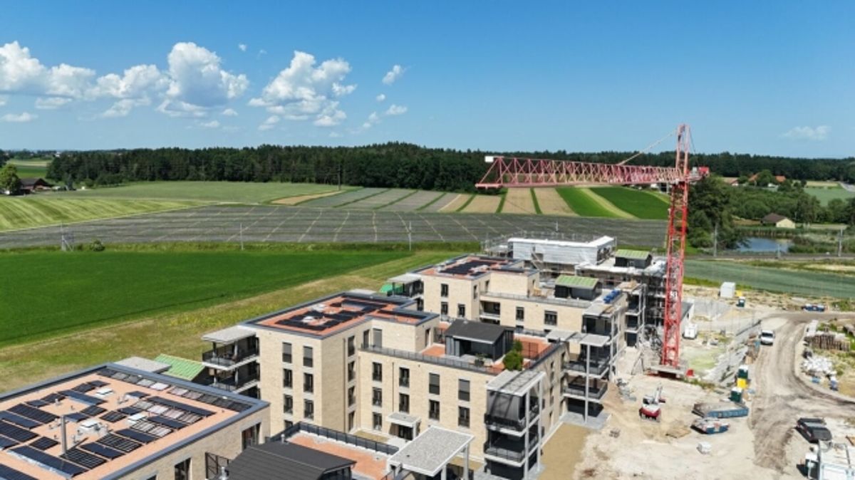 Gehoben Wohnen mit Sicht über den grossen Park des Ziegelei-Quartiers (E 1.2) - 12